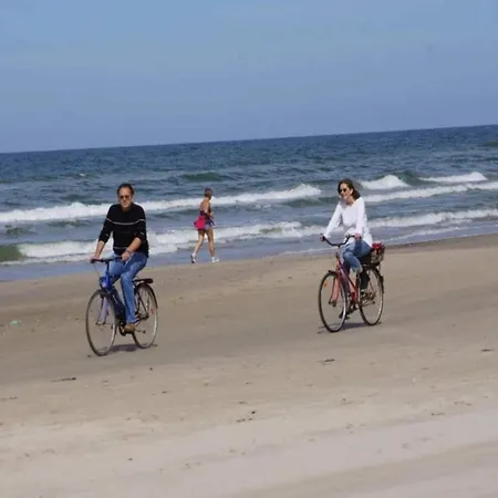 4 Star In Blokhus-by Traum *