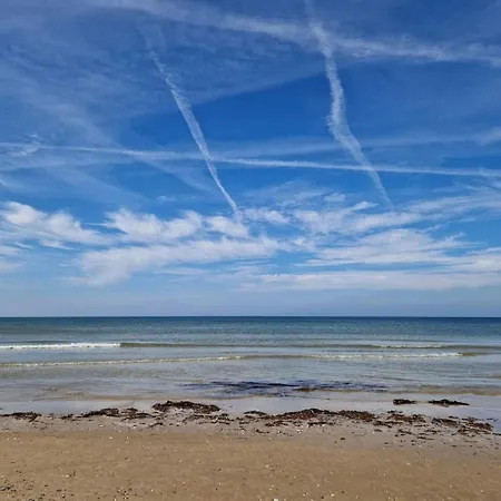 4 Star In Blokhus-by Traum *