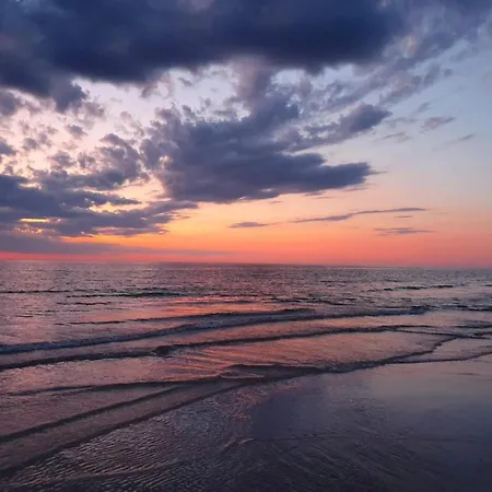 Feriehus 4 Star In Blokhus-by Traum